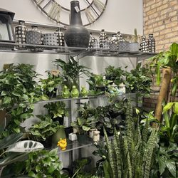Fertile Garden Center