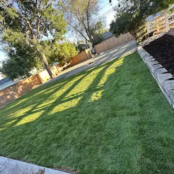 Denis Landscaping - Landscape Architects or Designers Near Me Denis Landscaping - Landscape Architects or Designers Near Me