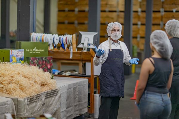 The Fruit Company - Factory Experience by null