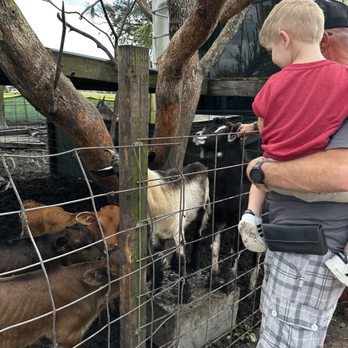 Gone Organic Dairy - B - Farmers Market Near Me - Hasting, Florida