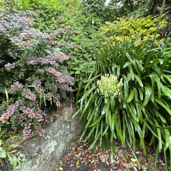 Wellington Botanical Gardens - Botanical Gardens Near Me - Wellington, WGN