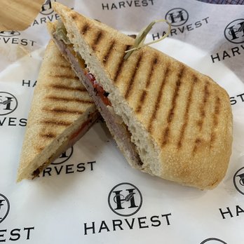Harvest - Steak panini - American Near Me - Virginia Beach, Virginia