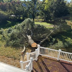 Advanced Tree