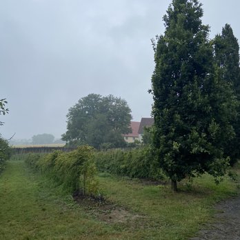 Baumschule Abel - Himbeeren zum selberpflücken - Landscaping Near Me - Möhnesee, NW
