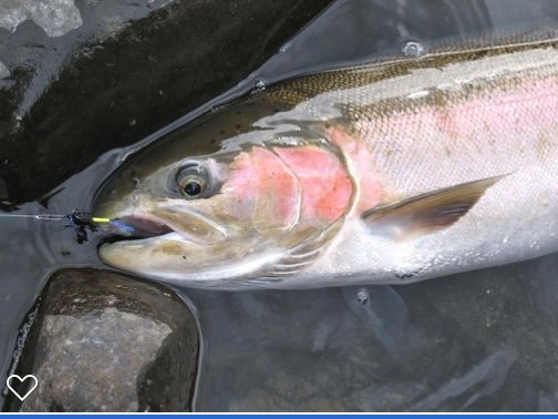 Bennett Spring Dining Lodge by null