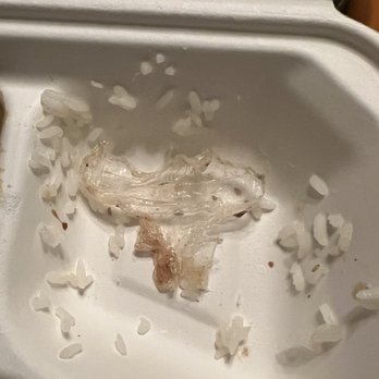Jin Sushi and Ramen - Piece of plastic - Japanese Near Me - Saco, Maine