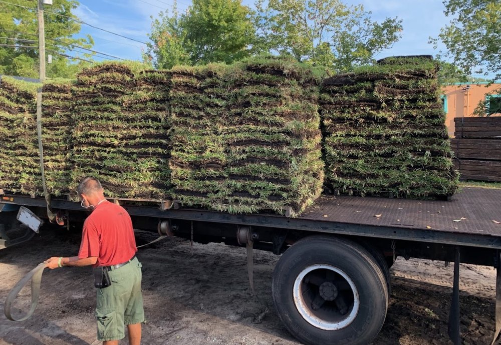 DAIGLE DISCOUNT NURSERY AND SOD Updated August 2024 10 Photos 11