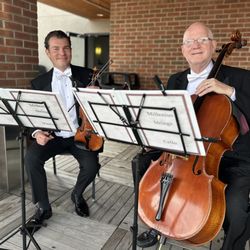 Millenius Strings