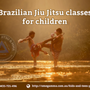 Photo of OMEGA JIU JITSU & MMA