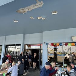 Black Cup - Outside - (The line was out the door)