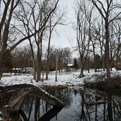 Grant Woods Forest Preserve - Icy snow
