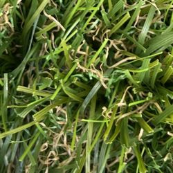 Magic Bubbles of Royal Palms - Artificial grass