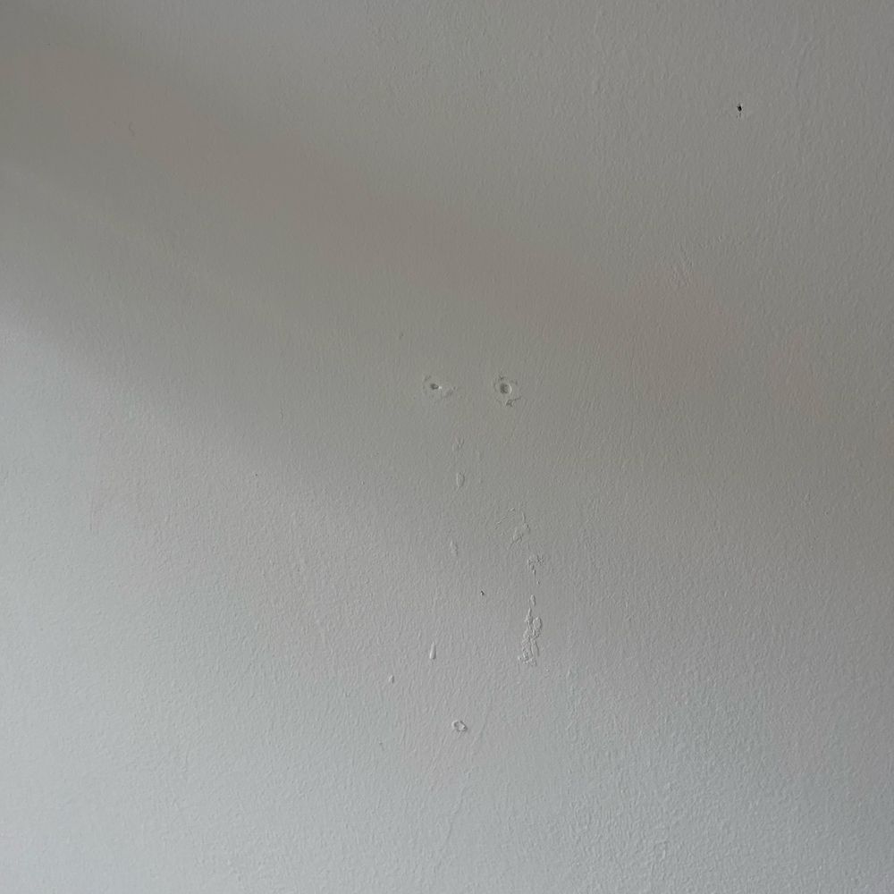 Bill Addison Painting - Painters Near Me Bill Addison Painting - Painters Near Me