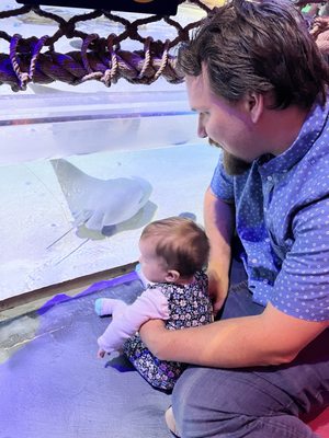 SEA LIFE at Mall of America by null