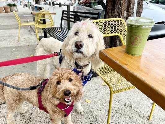 Parakeet Cafe - La Jolla by null