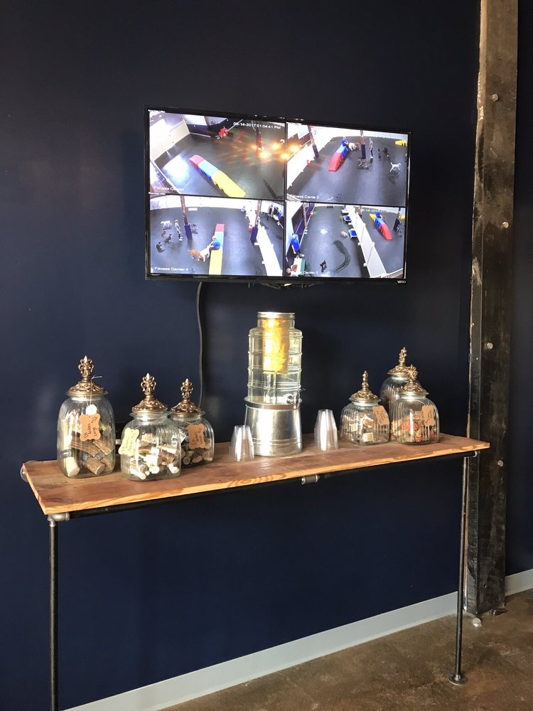 The Noble Dog Hotel Image