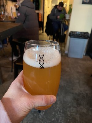 Novel Strand Brewing Company by null