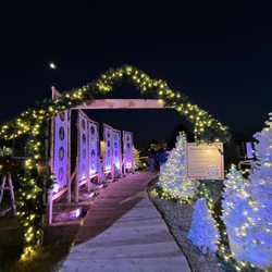 Camp Christmas