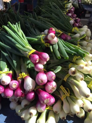 Temescal Farmer's Market by null