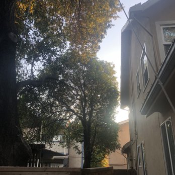 Santana's Tree Trimming - Tree Services Near Me - Lodi, California Santana's Tree Trimming - Tree Services Near Me - Lodi, California