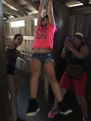 Cosmos Mystery Area by null