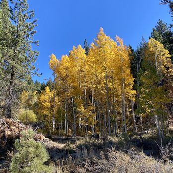 Spooner Lake Trailhead - Hiking Near Me - Carson City, Nevada Spooner Lake Trailhead - Hiking Near Me - Carson City, Nevada