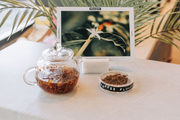 Progeny Coffee by null