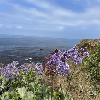 Point Vicente Interpretive Center - Views - Museums Near Me - Rancho Palos Verdes, California Point Vicente Interpretive Center - Views - Museums Near Me - Rancho Palos Verdes, California