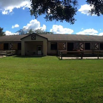 Four D Haven - Main Barn - Horse Boarding Near Me - New Port Richey, Florida Four D Haven - Main Barn - Horse Boarding Near Me - New Port Richey, Florida