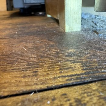 Big Bear Cool Cabins - More mice droppings - Property Management Near Me - Big Bear Lake, California