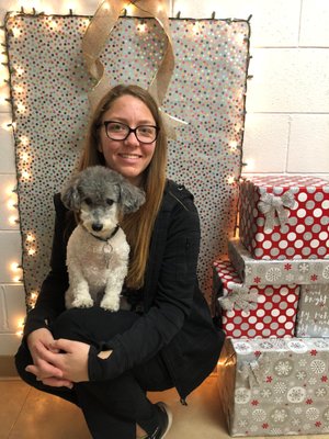 affordable animal hospital of orange