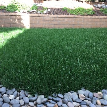 California Sod Center - Superior fescue - Nurseries & Gardening Near Me - Chino, California California Sod Center - Superior fescue - Nurseries & Gardening Near Me - Chino, California