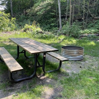 Magnus Park Campground - Picnic area and fire pit to the left of the cabin - Parks Near Me - Petoskey, Michigan Magnus Park Campground - Picnic area and fire pit to the left of the cabin - Parks Near Me - Petoskey, Michigan