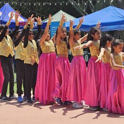The Museum of The San Fernando Valley - Museum of the SFV Pan Asian Festival