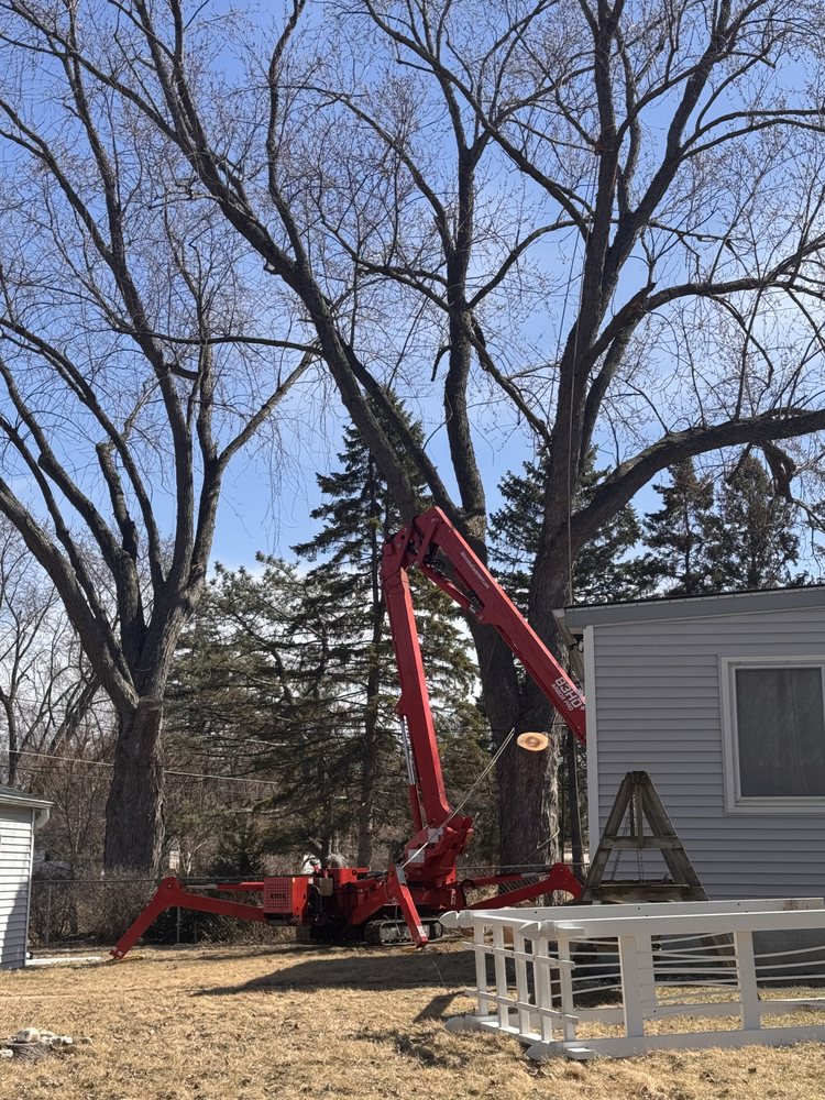 North Shore Tree Service - tree service in Milwaukee, WI