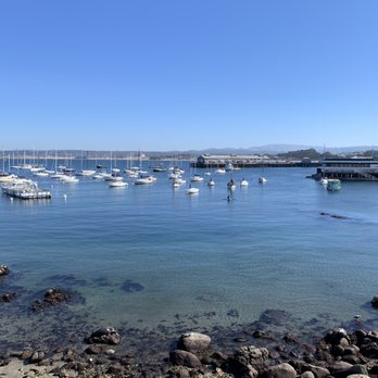 Monterey Bay Coastal Trail - Can you spot the resting seal? - Hiking Near Me