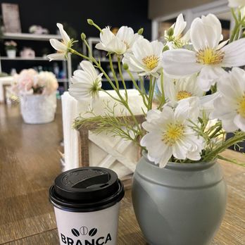 Branca Cafe - Cafes Near Me - Miami, Florida