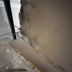 Techsdry Restoration - Mold Remediation
