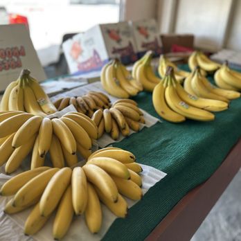 Gonzalez Produce Stand - Farmers Market Near Me - Oxnard, California