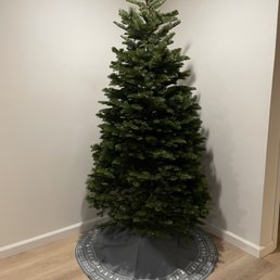 8' noble fir Christmas tree