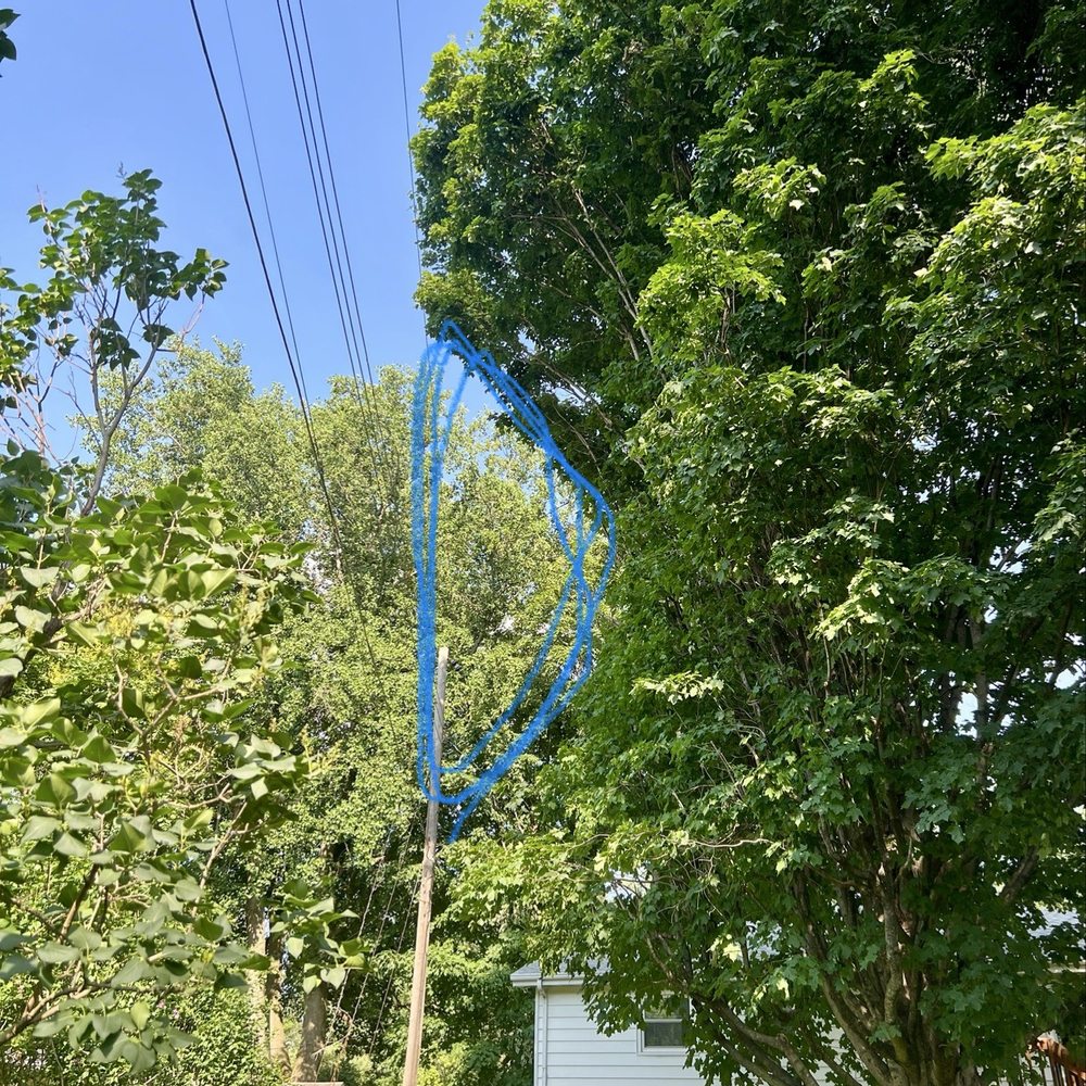 Wright Tree Service - Tree Services Near Me - West Des Moines, Iowa Wright Tree Service - Tree Services Near Me - West Des Moines, Iowa