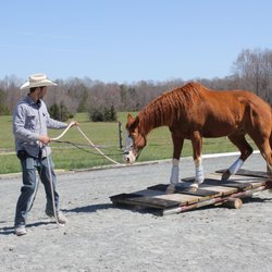 Sport of Horses Park