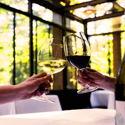 The Mountain House by null