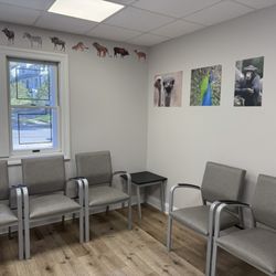 Tenafly Pediatrics