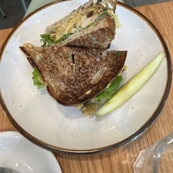 The Speckled Egg - Turmeric chicken salad sandwich - Breakfast & Brunch Near Me - Pittsburgh, Pennsylvania The Speckled Egg - Turmeric chicken salad sandwich - Breakfast & Brunch Near Me - Pittsburgh, Pennsylvania