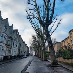 Cabot Tower - One of the streets leading to the park