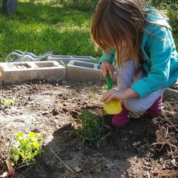Montessori Schoolhouse