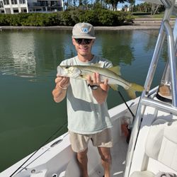 Snook