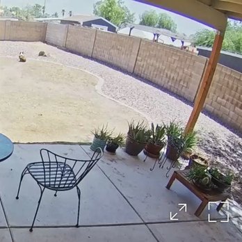 Russ Chandler's Tree Service - Tree is gone in rot far corner! - Tree Services Near Me - Phoenix, Arizona Russ Chandler's Tree Service - Tree is gone in rot far corner! - Tree Services Near Me - Phoenix, Arizona