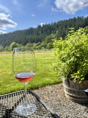 Pomeroy Cellars by null